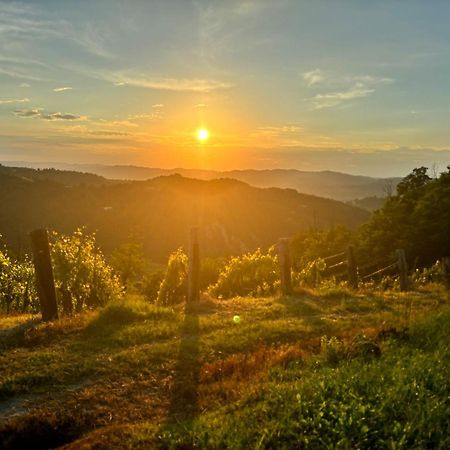 1929 Wine Food Relax Agriturismo Acqui Terme Exteriör bild