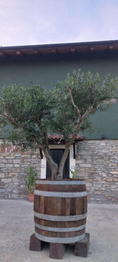 1929 Wine Food Relax Agriturismo Acqui Terme Exteriör bild