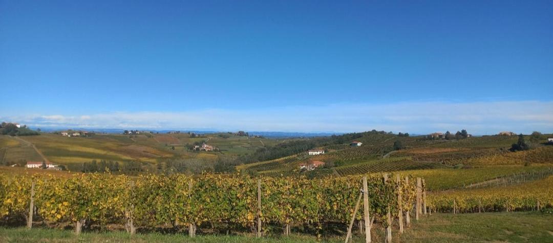 1929 Wine Food Relax Agriturismo Acqui Terme Exteriör bild